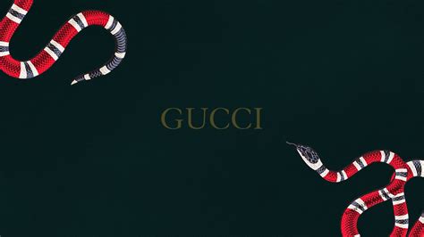 gucci computer wallpaper hd|Gucci wallpaper for desktop.